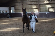 DSC_0337_rsz
