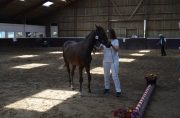 DSC_0551_rsz