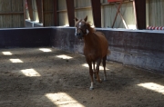 DSC_0560_rsz