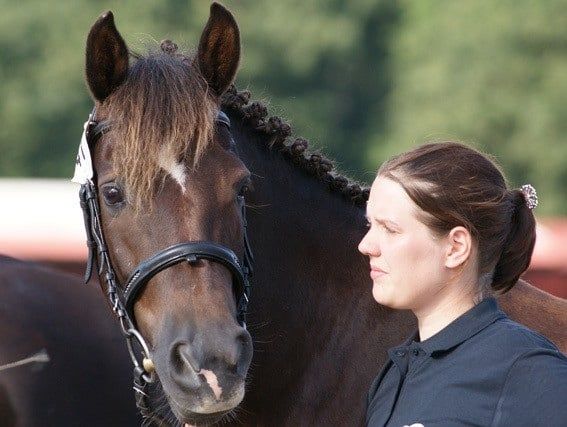 Soldals-Annabell-Festival-2010