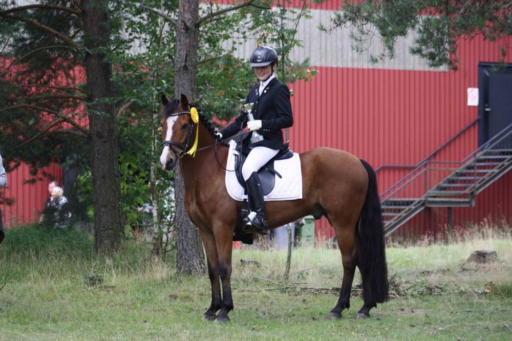 Feldholms Quincy og Stefanie Langhoff